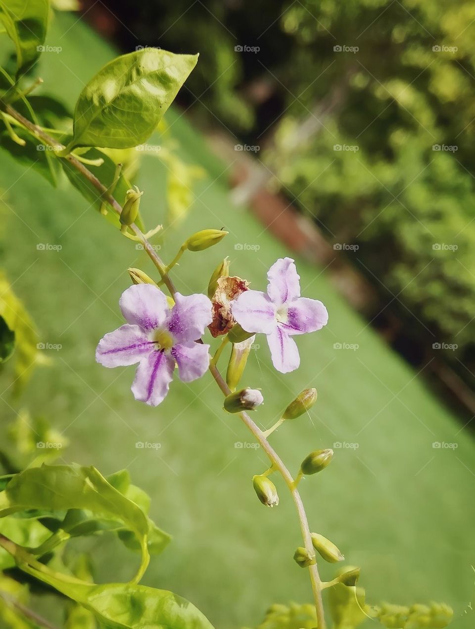 Bloom with kindness...