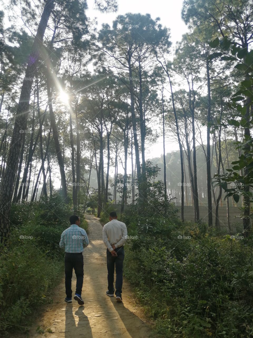 Day is starting with Morning walk, we must start first routine work with our health