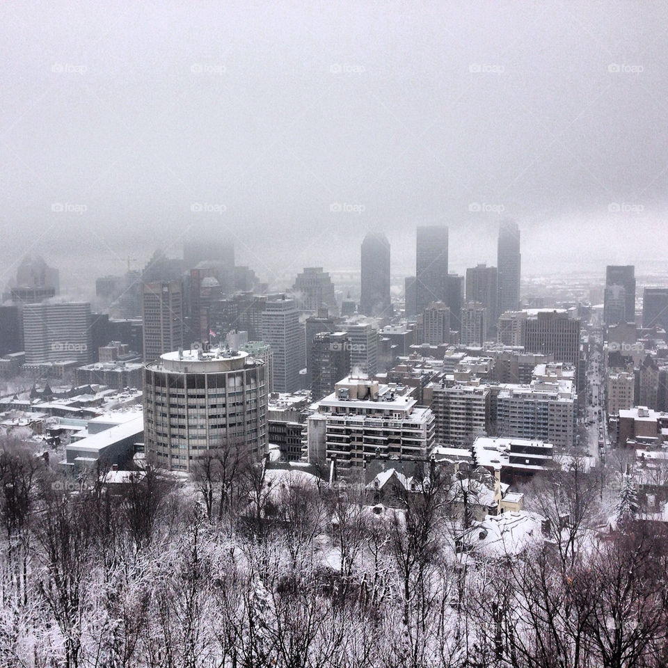 Captured with an iPhone 5 from the chalet on Mont Royal Montreal