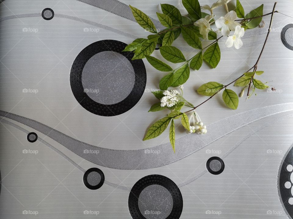 The varieties background.