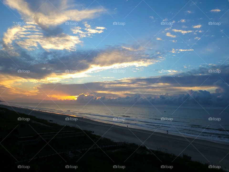 An image of a bird in the sky over the calming waters