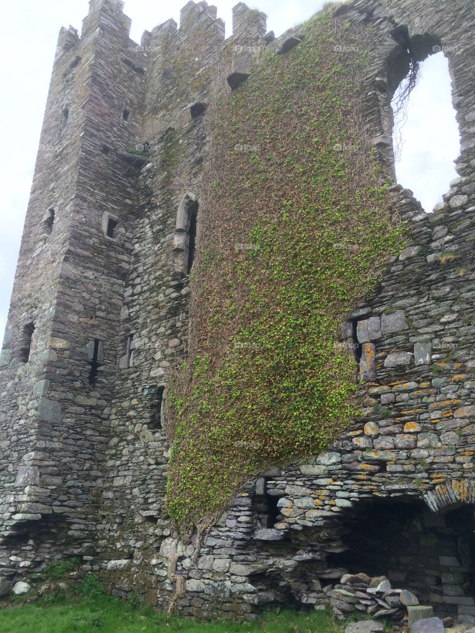 Irish castle 