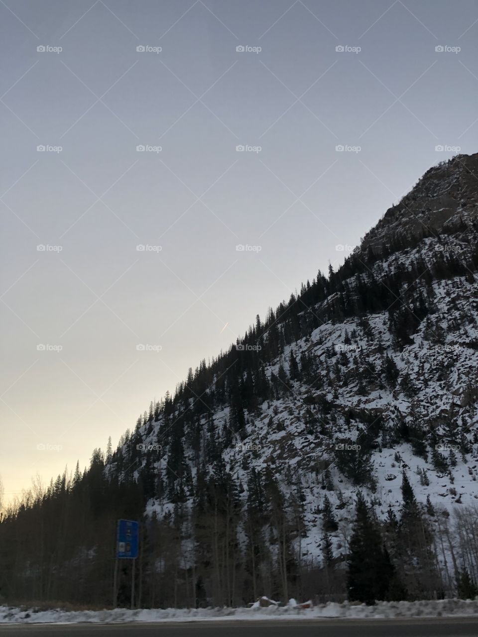 Evening in the mountains. Snow covered mountains and pines.