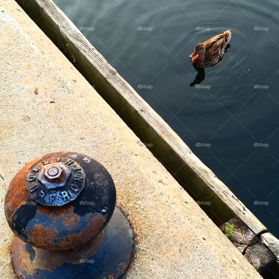 Mooring and friend