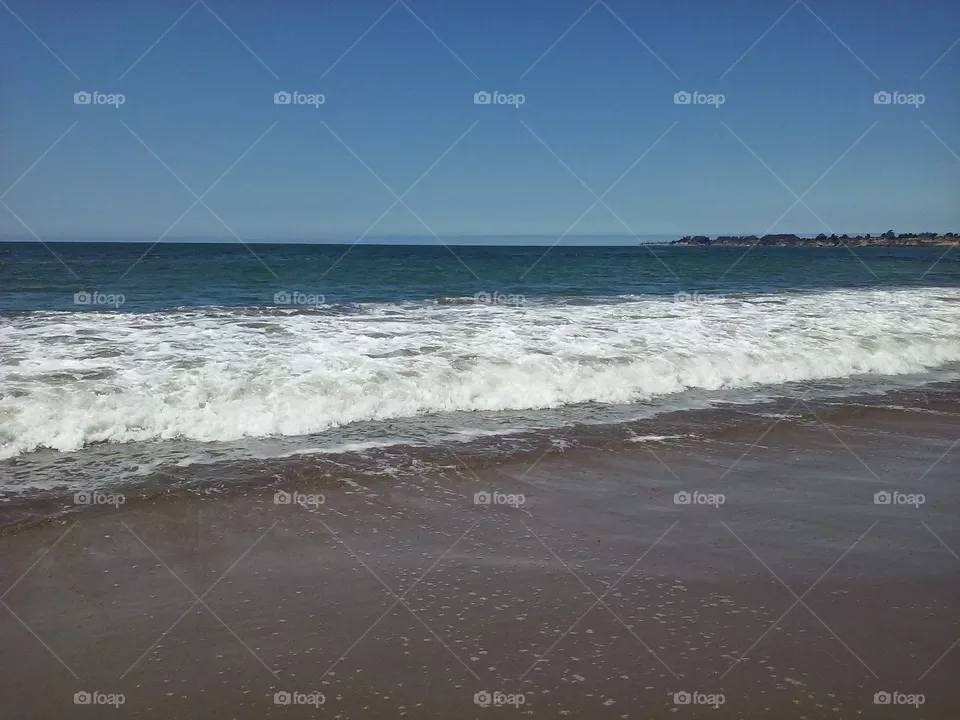 The Wave