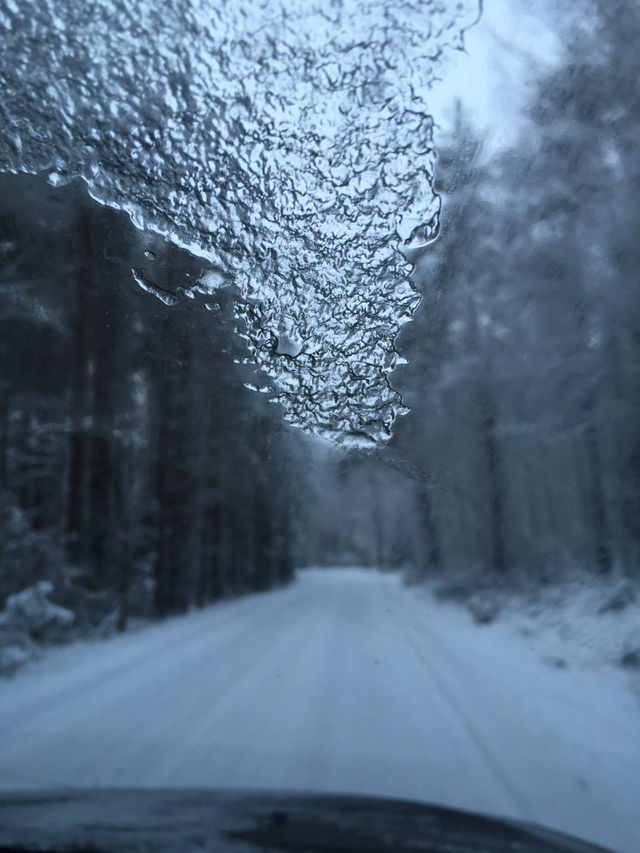 Frozen 