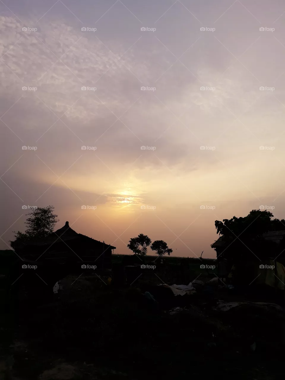 Sun rise