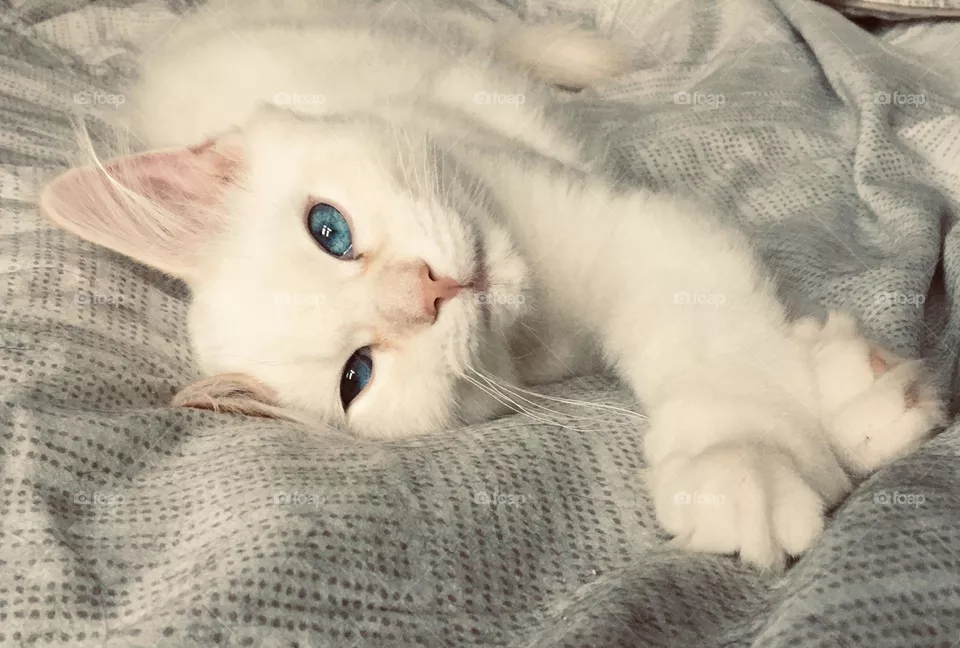 Beautiful baby blues