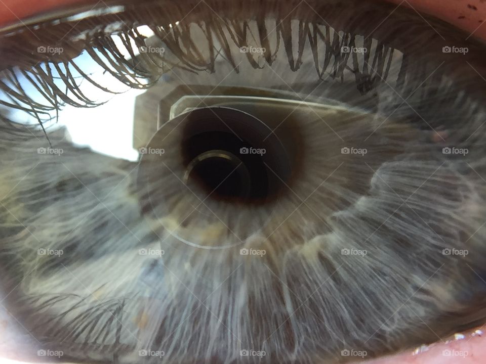 Macro Eye