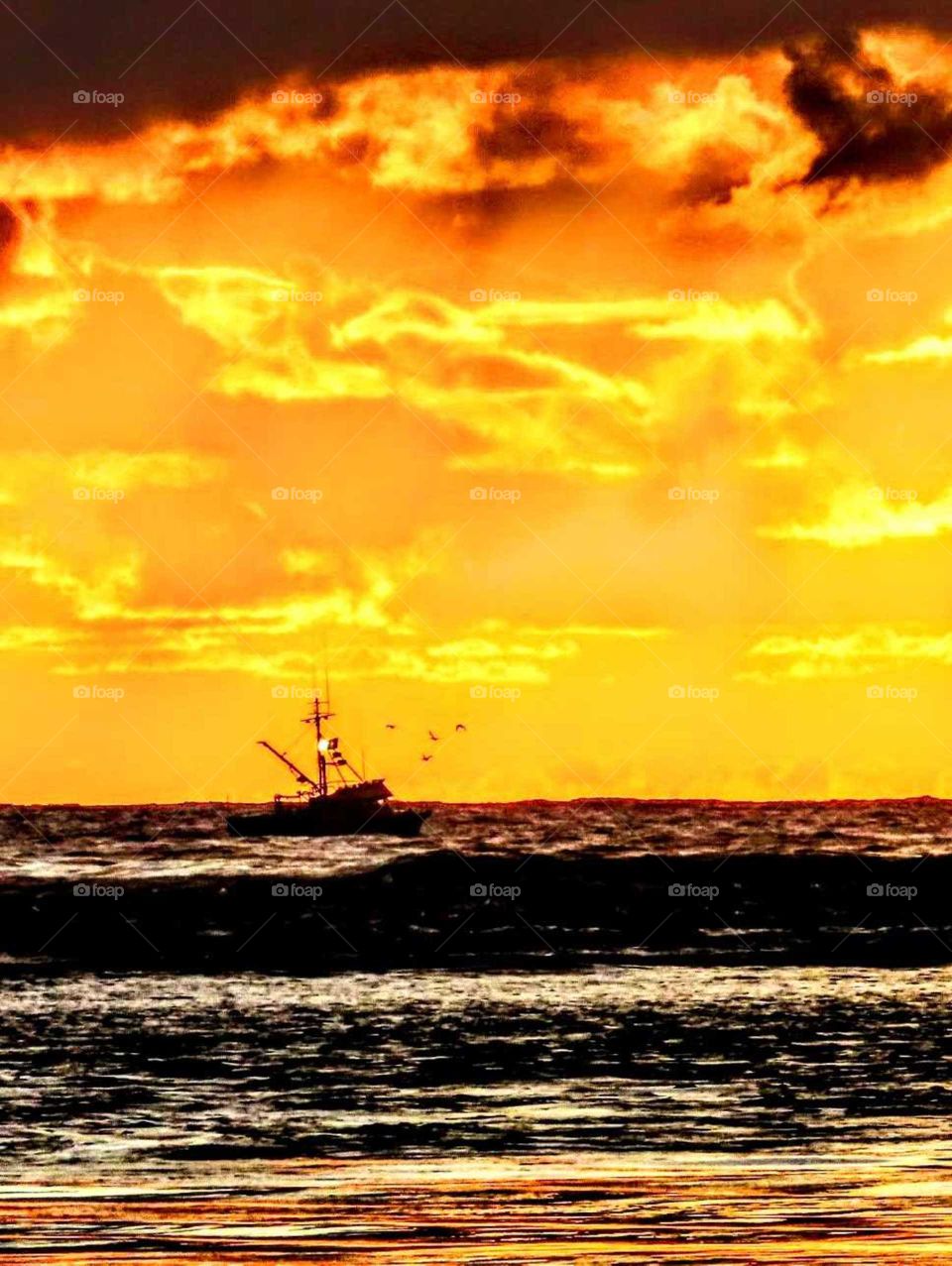 Ship & Birds Soak in Pretty Orange Sunset with Some Little Misty Rain "Heading Home"