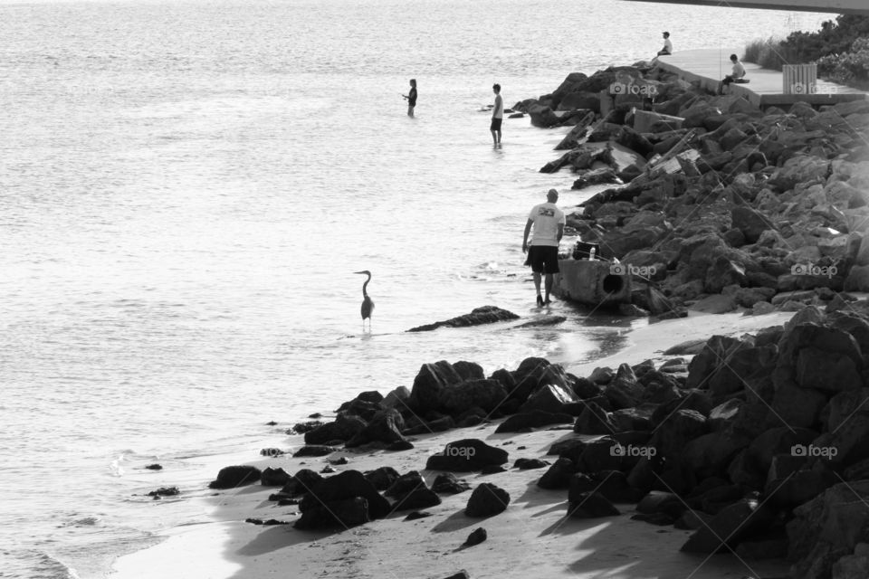 Beyond the overpass. Fishing in the bay