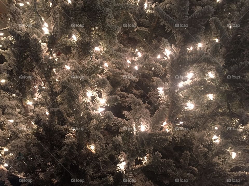 Christmas Tree at The Davenport Hotel