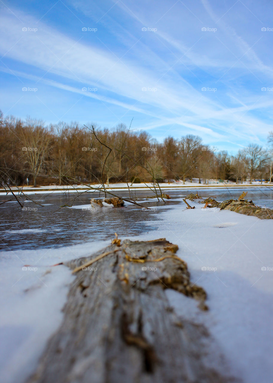 Frozen Pond with Patches of Snow and Submerged Tree Branches