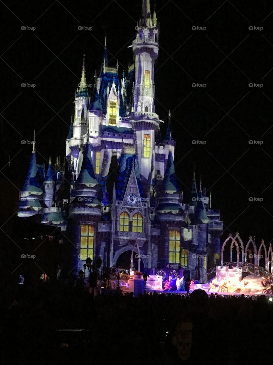 Cinderella Castle Christmas