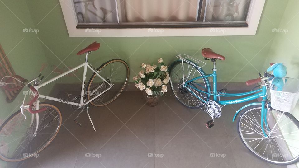 bicicletas