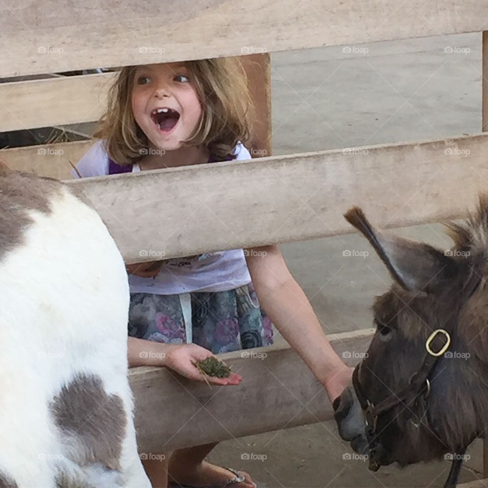 Fun at the Petting Zoo