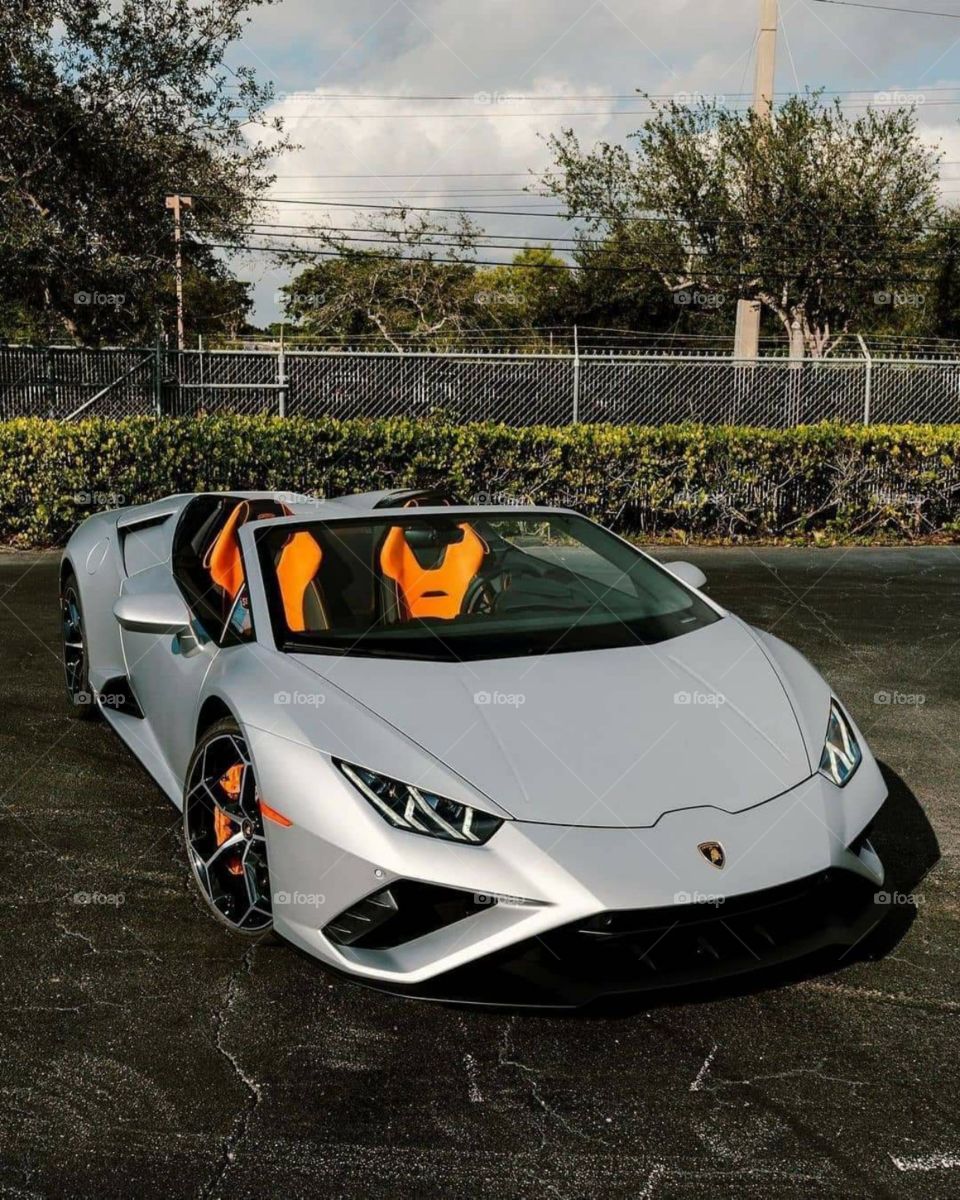 beautiful dashing car opposite garden and cloudy weather