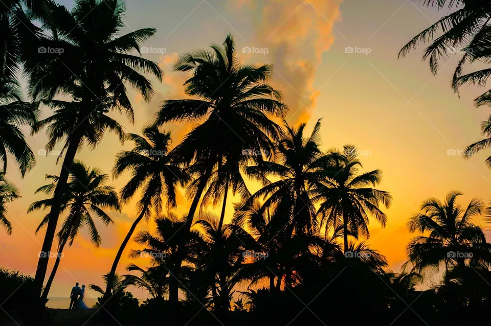 The best exclusive photo taken by Abdul Rahman Photo 2021 No copyright you can now enjoy the beauty of nature