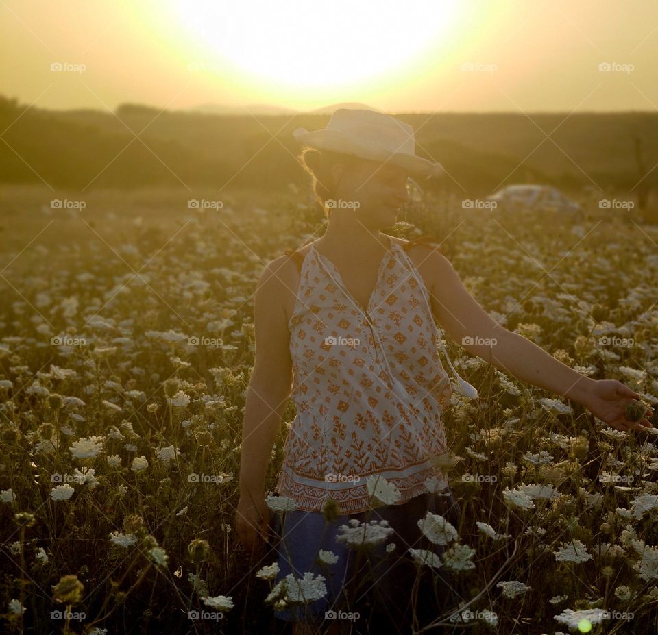 Lovely summer sunset into the wild