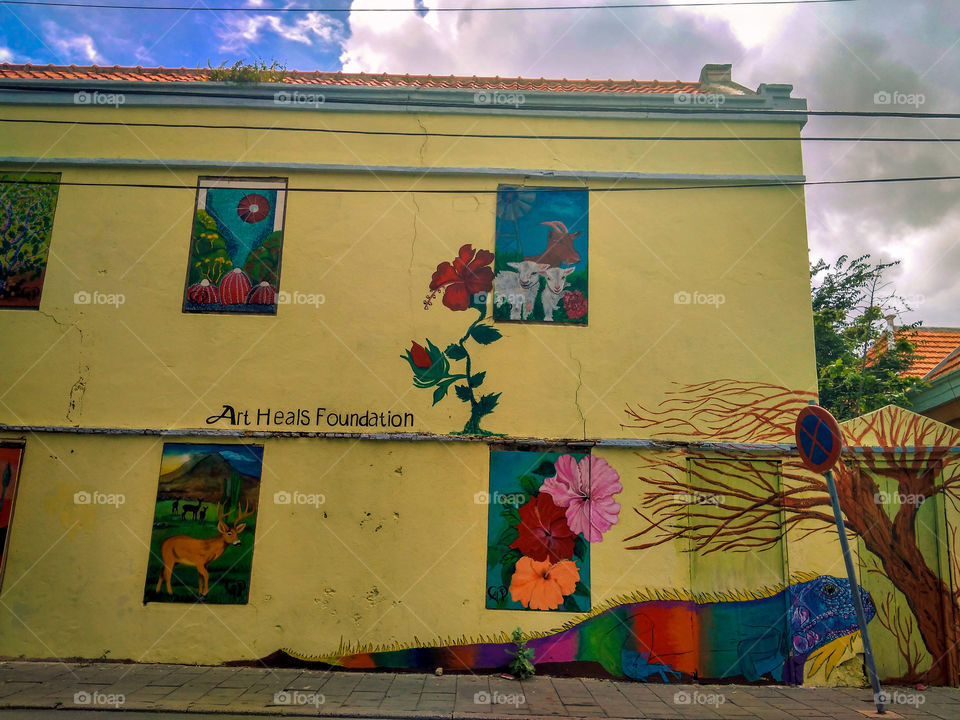 local art, animal paintings on the side of a building