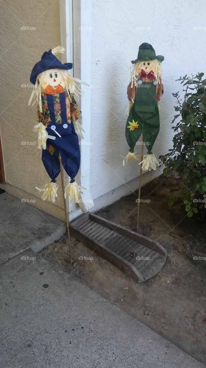 scarecrow, fall time