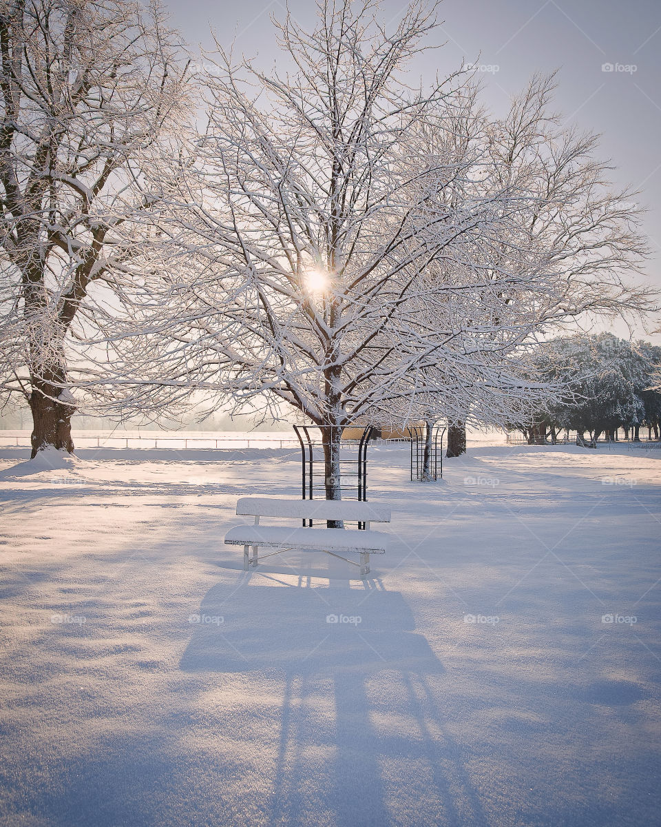 Winter sunset in park.