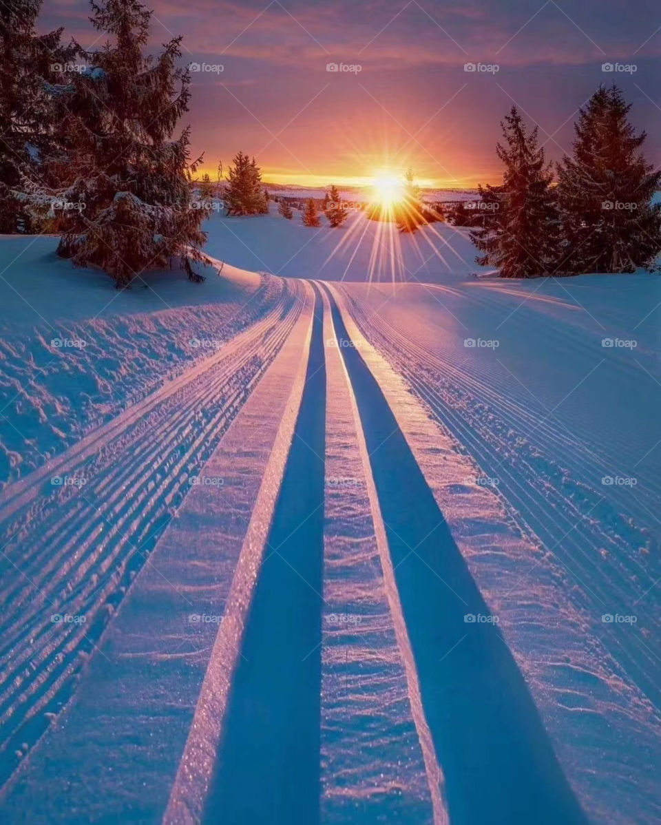 Sunset in the snow 