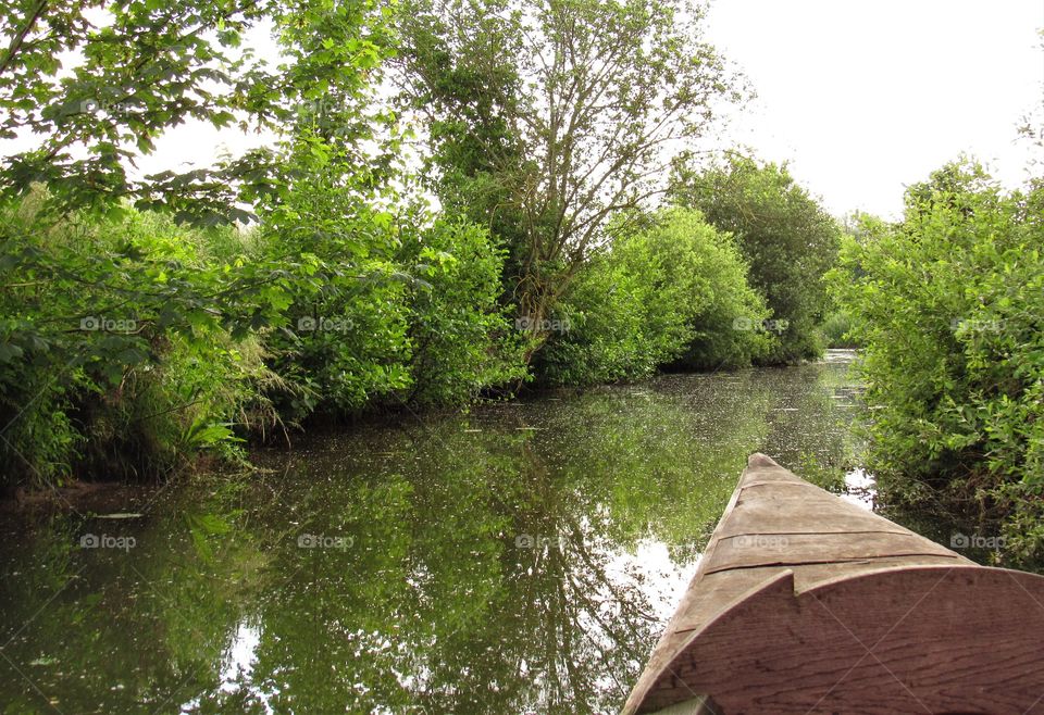 Marais de Saint Omer