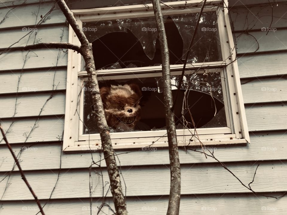 Scary teddy bear in a broken window