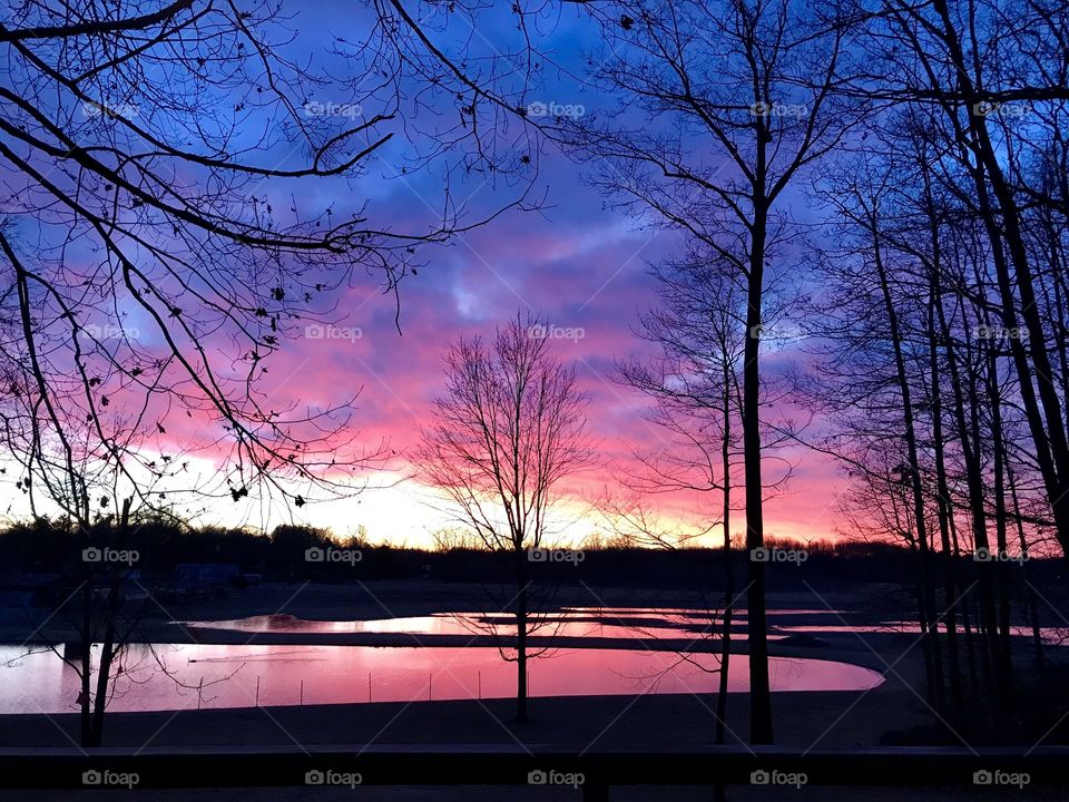 Nature is beautiful, nature is essential to our peace, for it is our home. It is our sanctuary. 