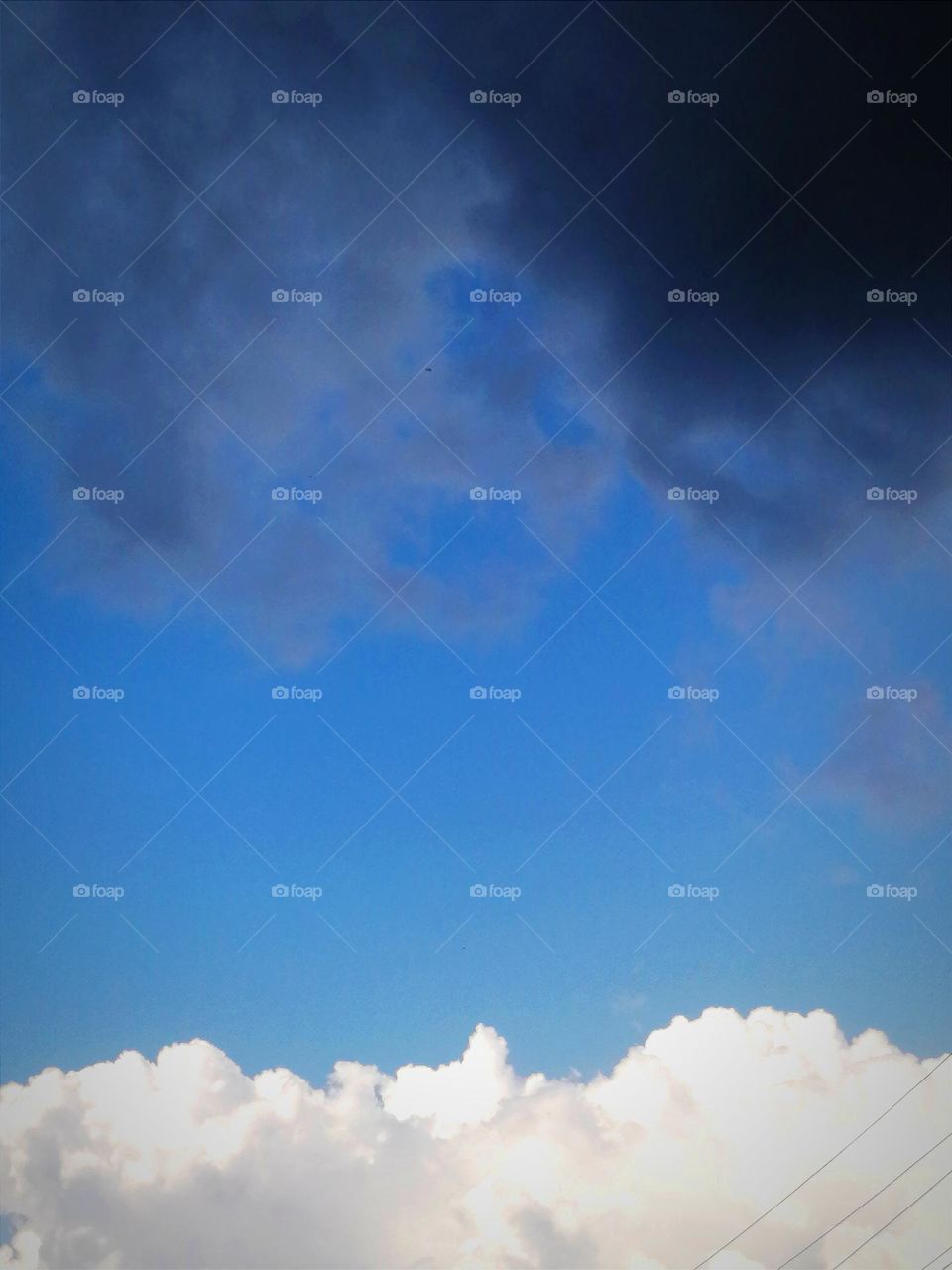 They seem to be so far apart, but they met in heaven and created a magnificent spectacle.๐ We are all different, but we can find common ground in what unites us. We must be able to respect and accept each other as we are.