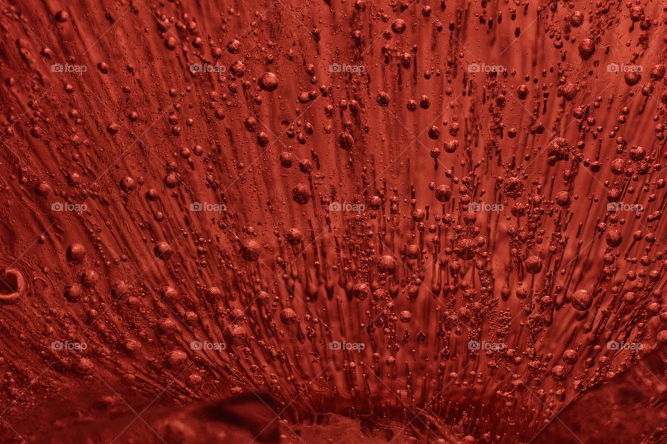 frozen water with bubbles creates a natural art