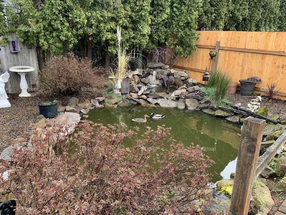 Well deserved rest, a pair that will be together for life 