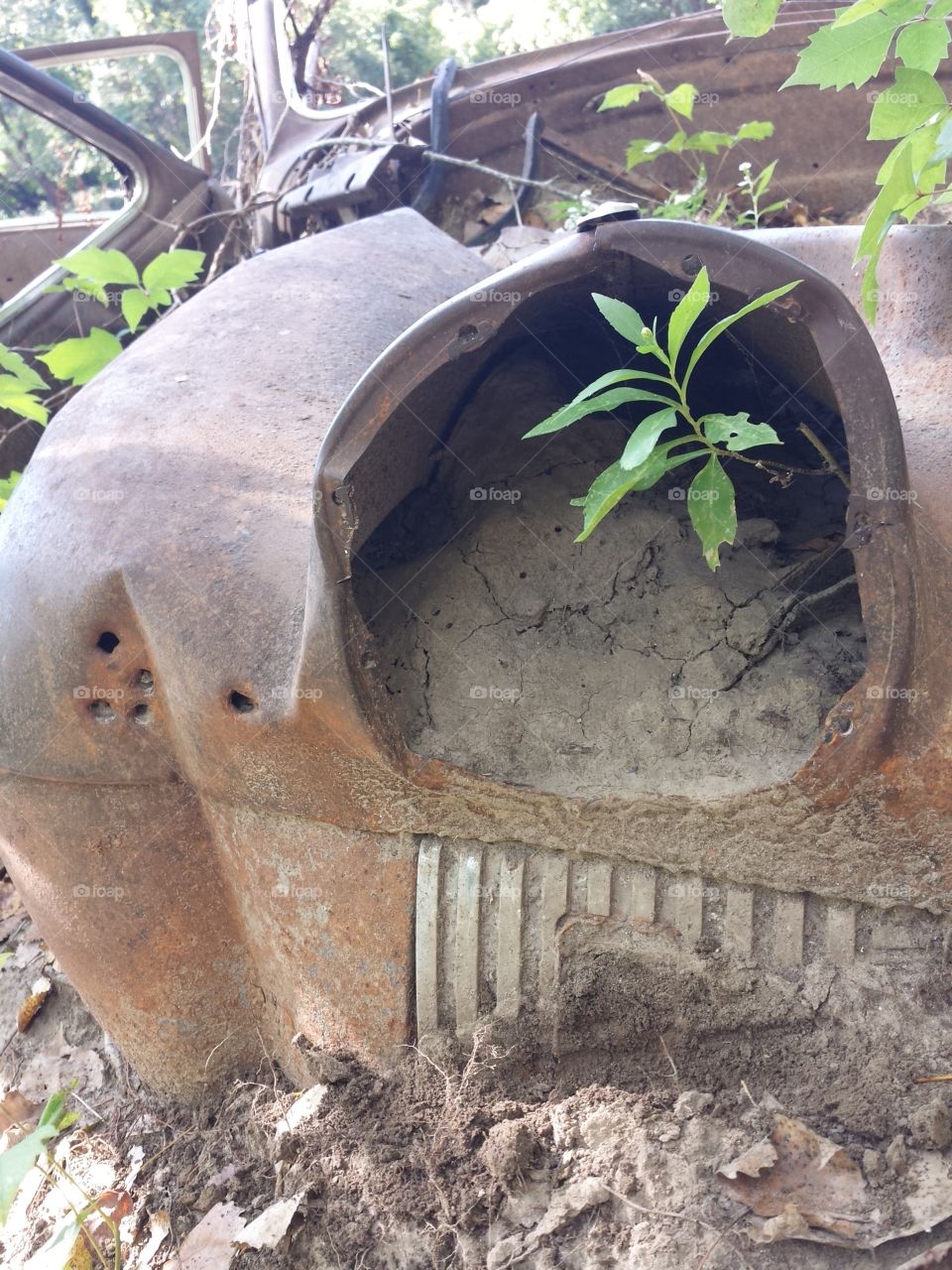 Soil, Nature, Ground, No Person, Environment