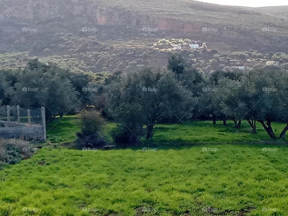 Population between the nature