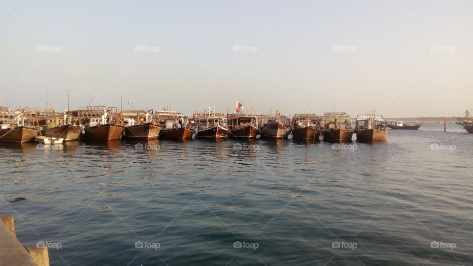 wakra port . this is qatar fish port