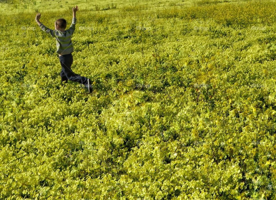 Boy Playing In A Field Of Yellow Flowers