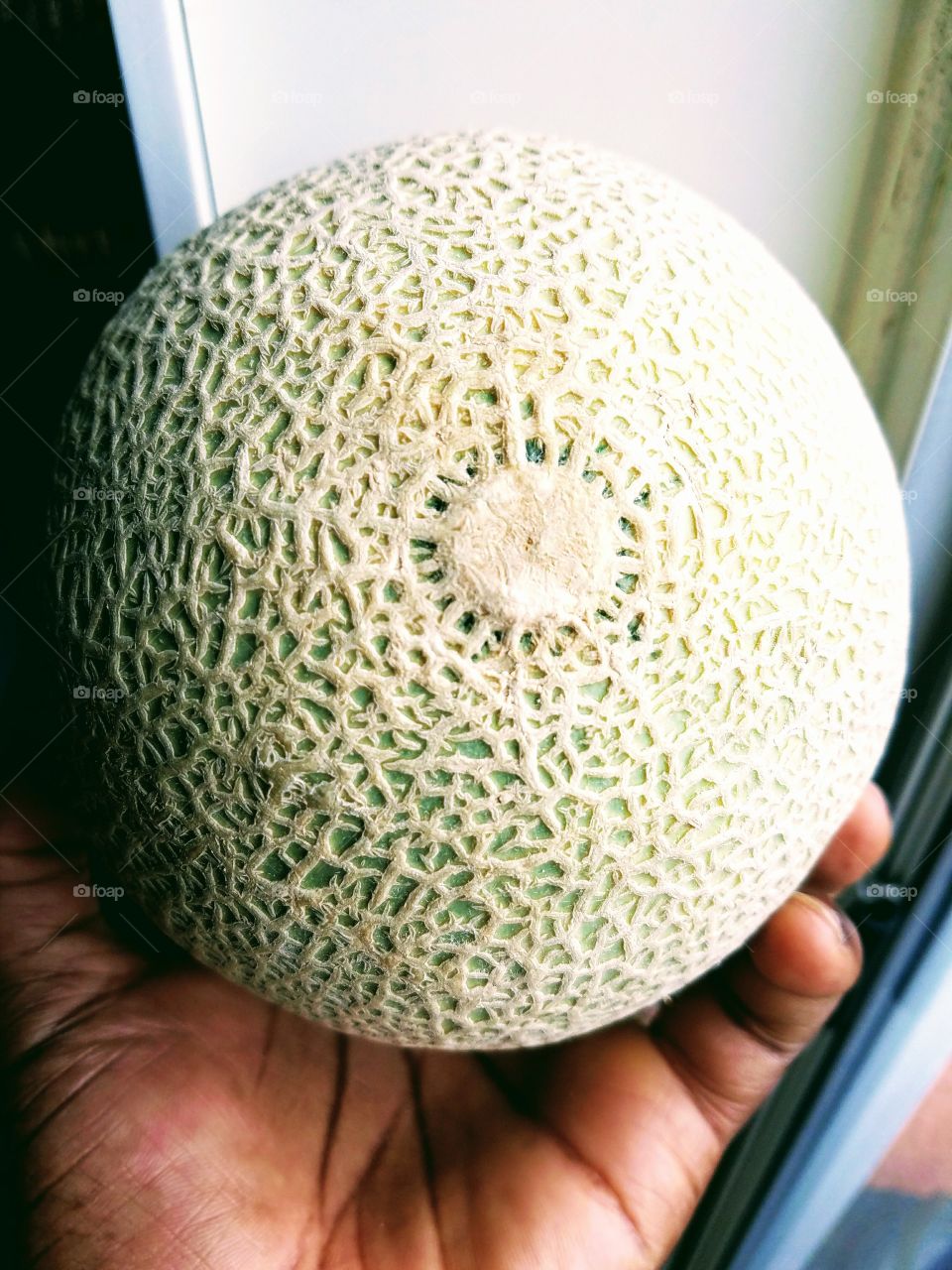 Cantaloupe in hand