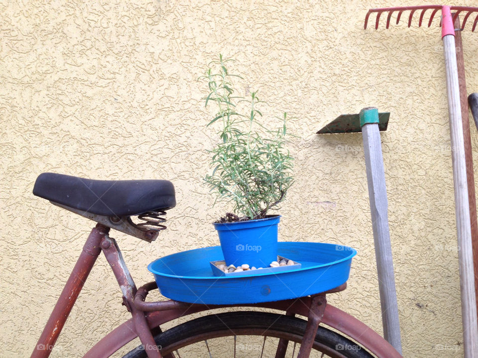 Garden decoration with Bike