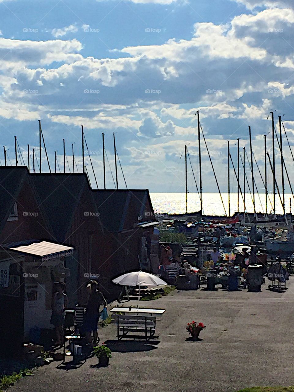 The harbor with boats! 