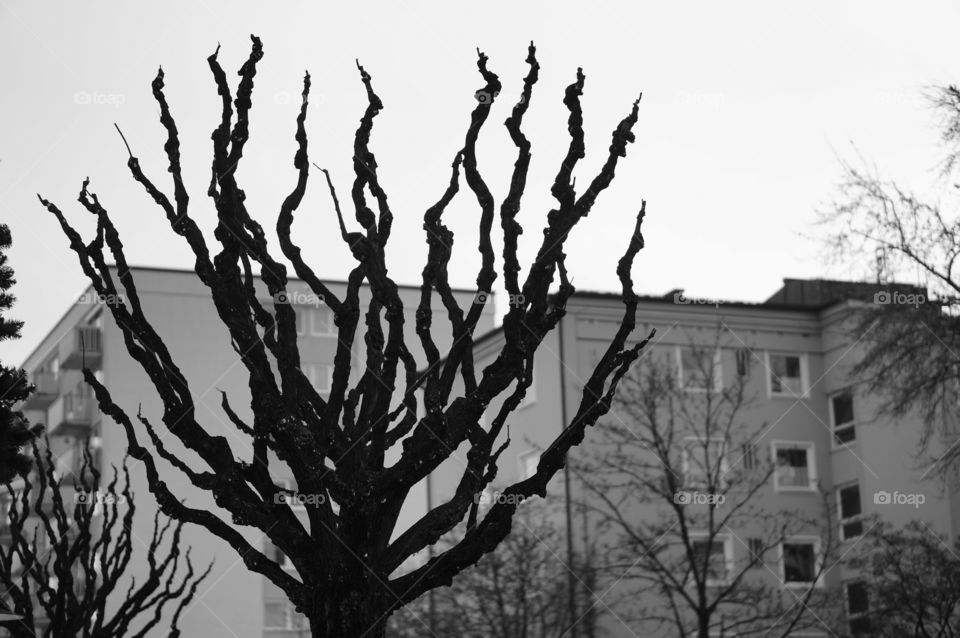 b j tree scary by lexlebeur