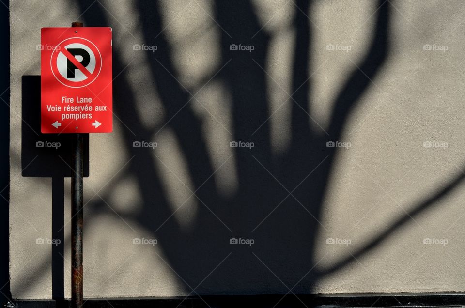 A No Parking sign captured with a stunning shadow of a tree behind it, capturing the calm moment that comes once in a while in the city.