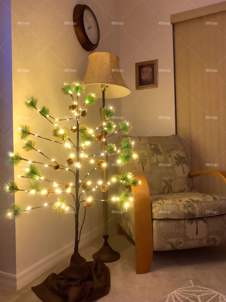 Lovely little pine tree illuminating a corner of a home.