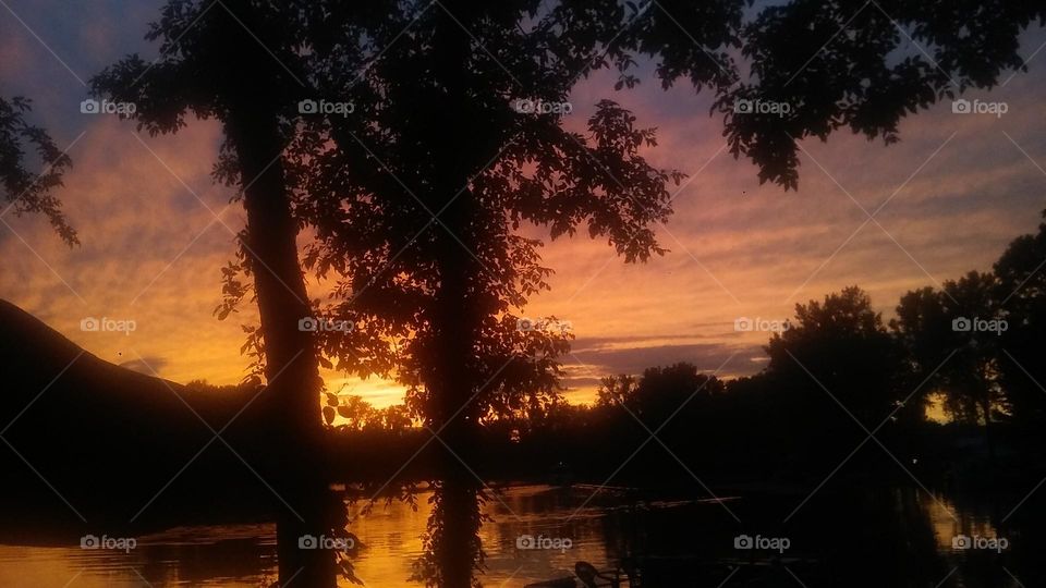 Silhouette of a tree in the sunset sky overlooking a lake in Ohio 