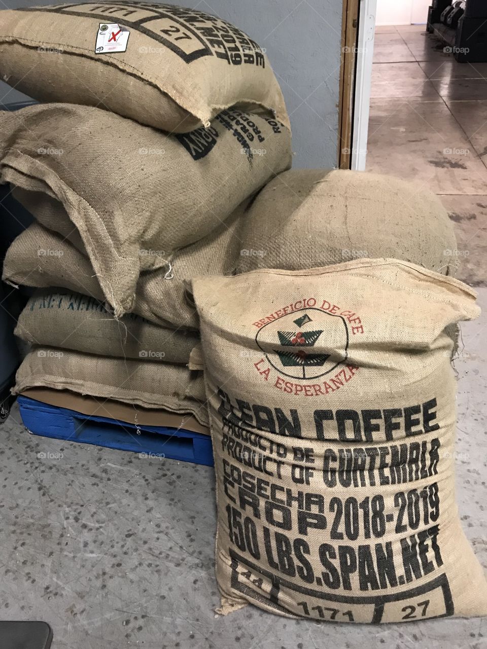 Coffee in sacks 