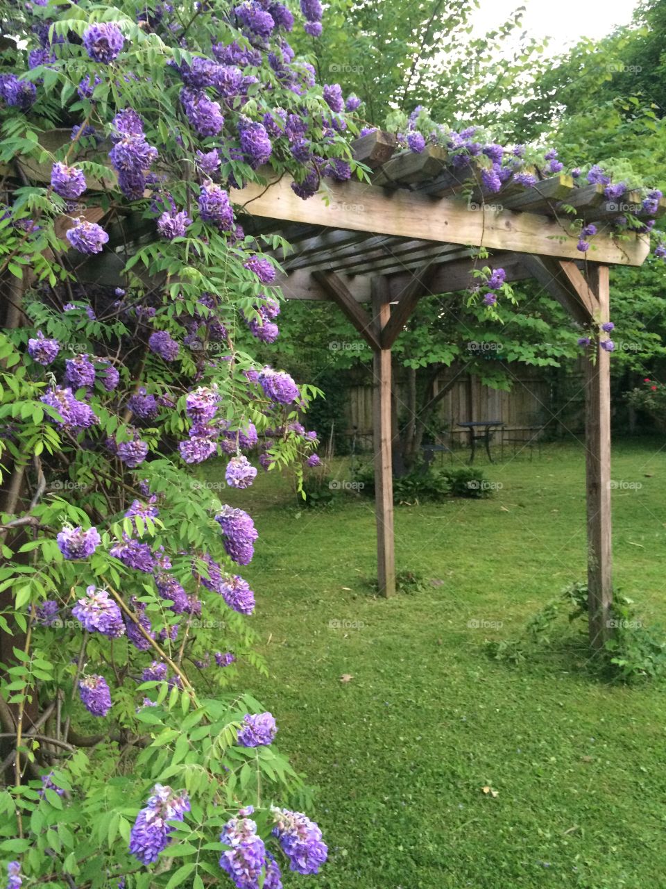 The beginning of Spring 