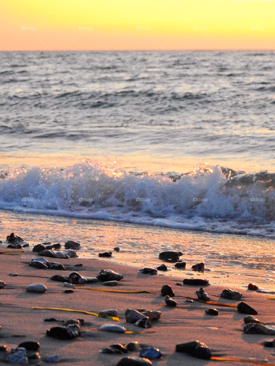 Winter on the beach