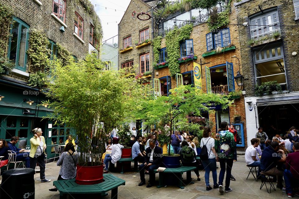 City Centre foliage 