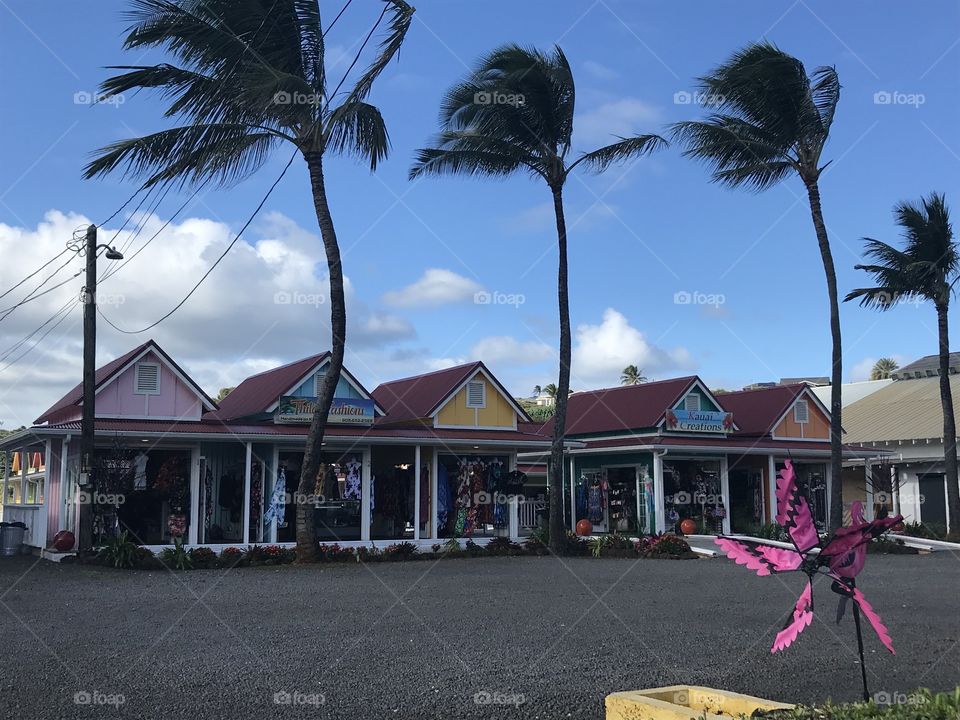 Shopping in Hawaii 