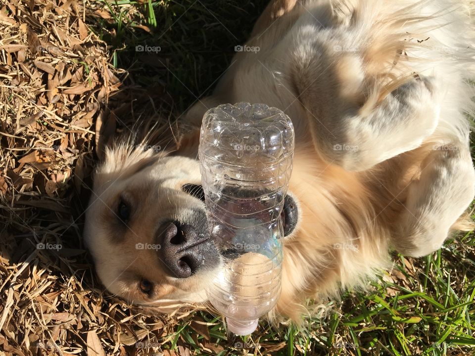 Water bottle play